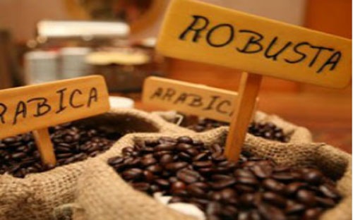 Coffee prices drop