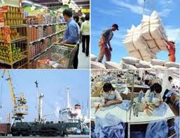 Indian market and trade relations with Vietnam