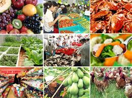 The situation of exporting agricultural and fishery products to Africa in the first 4 months